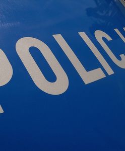 Makabryczne odkrycie koło Świdnicy. Martwy noworodek w śmieciach