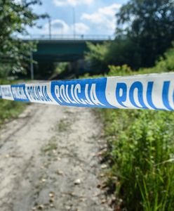 Makabryczne znalezisko w lesie. Grzybiarz natknął się na ludzką głowę