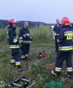 Uciekał przed dzikami. Spędził cztery godziny na drzewie