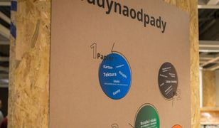 Warszawa walczy z odpadami razem z IKEA. "Rolą miasta jest edukacja ekologicznych praktyk"
