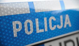 Żyrardów. Kierowca potrącił na przejściu matkę z dwójką małych dzieci