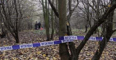 Tarnobrzeg. Szukali w lesie martwych dzików. Dokonali przerażającego odkrycia