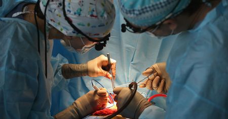 Dostał serce dawcy zarażonego HCV. Amerykanin podjął ryzyko