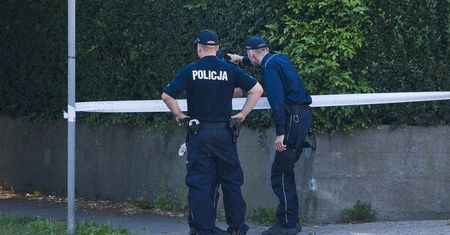 Szczecin. Kibic trafił przed sąd za jedną łupinkę słonecznika