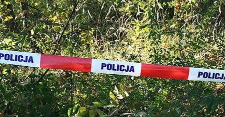 Obława na Dolnym Śląsku. Bandyta ukrywa się w lasach okolicach wsi Baranowice, może być uzbrojony