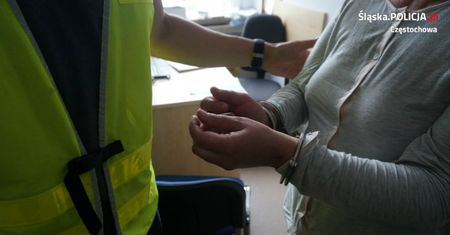 Do kobiety przyjechała karetka, a później policja. Wszystko przez komara