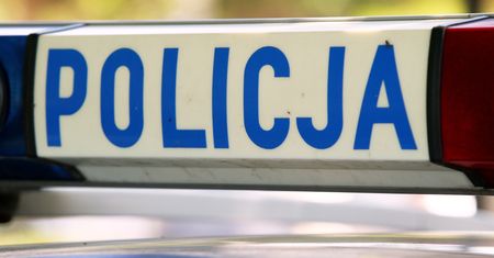 Łódzkie: Znaleziono zwłoki dwóch psów. Rośnie nagroda dla informatora