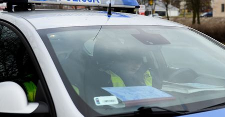 13-latek miał znęcać się nad psem na spacerze. Sąsiedzi zawiadomili policję