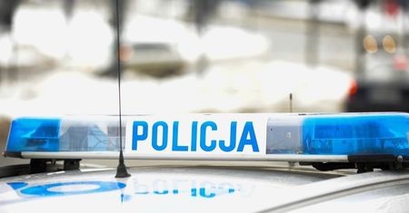 Zielona Góra. Makabryczne odkrycie w lesie
