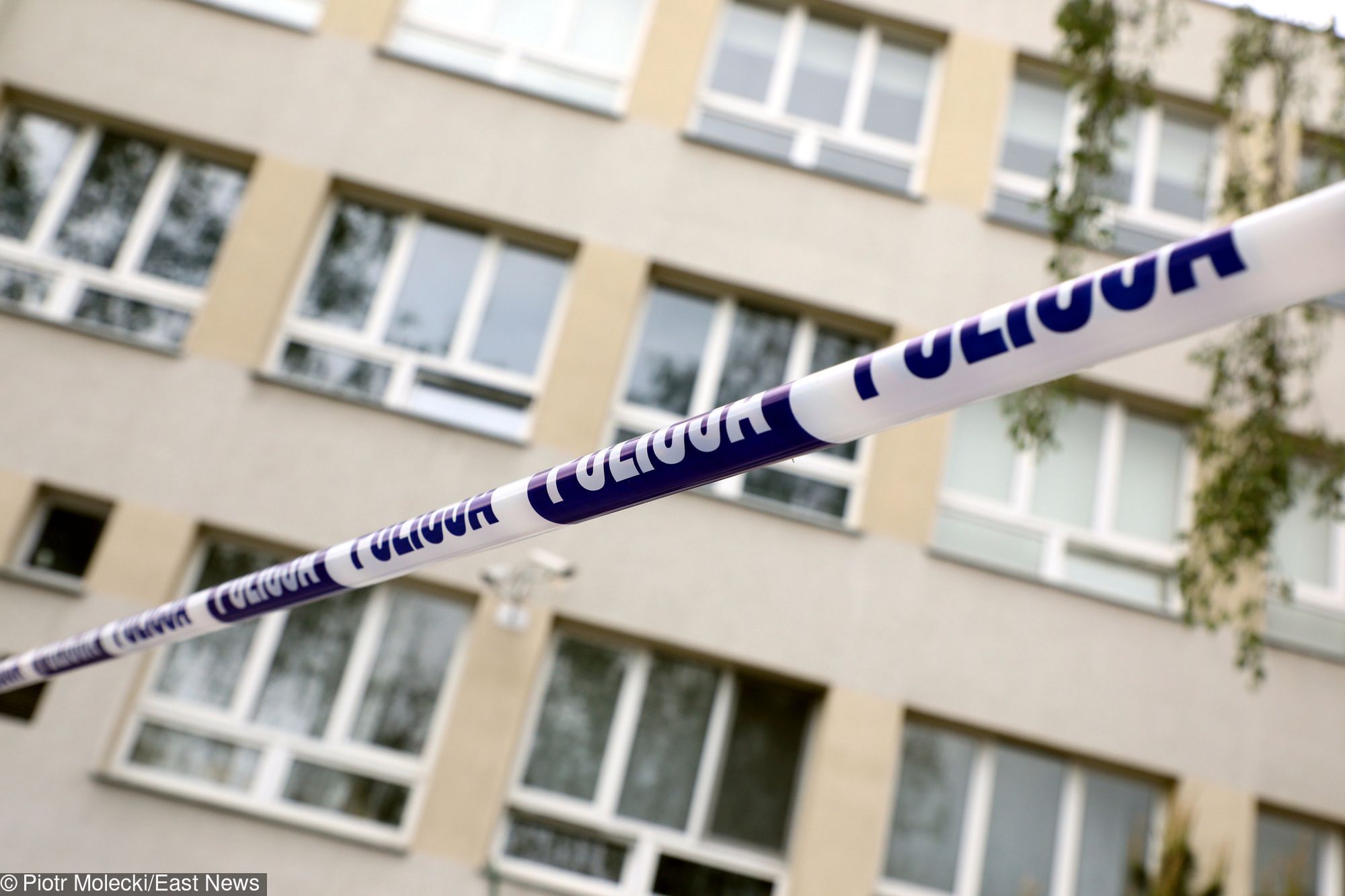 Personel placówki zostanie przesłuchany