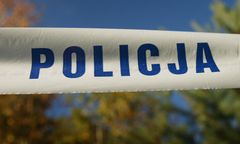 Wstrząsające odkrycie na bagnach koło Podgórza w powiecie kieleckim