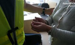 Do kobiety przyjechała karetka, a później policja. Wszystko przez komara