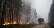 Ekstremalne rozwiązanie w Szwecji. Zaczęto bombardować pożary