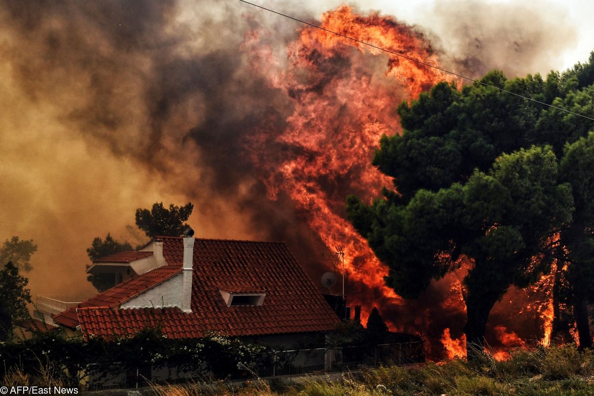 Pożary w Grecji. Polacy wśród ofiar. To matka i dziecko. Polska ambasada w Atenach wydała ostrzeżenie dla turystów