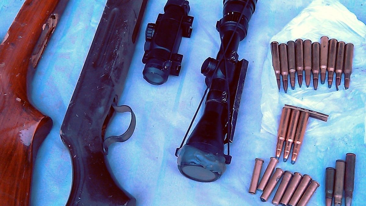 Zaskakującą zawartość odkryli warszawscy celnicy w jednej z przesyłek (zdjęcie ilustracyjne)