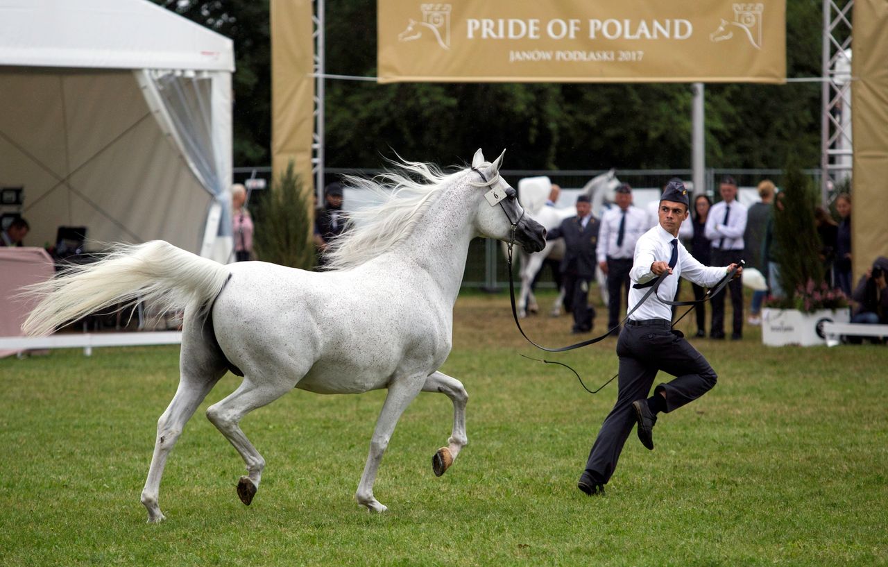 Pride of Poland jednak się odbędzie. Jest oświadczenie