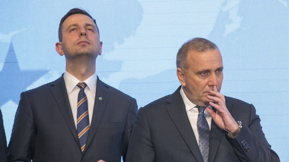 Władysław Kosniak-Kamysz, Grzegorz Schetyna