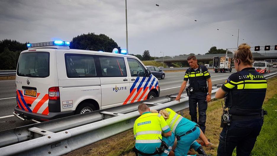 Holenderska policja zatrzymuje pijanego kierowcę ciężarówki 
