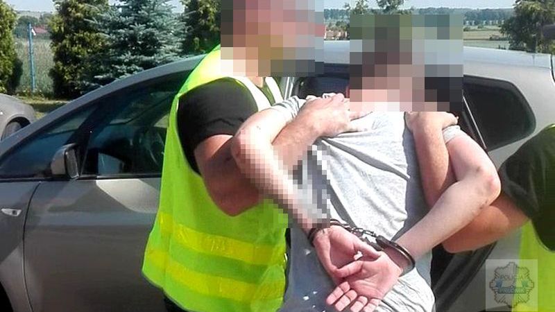 17-latkowi grozi 12 lat więzienia
