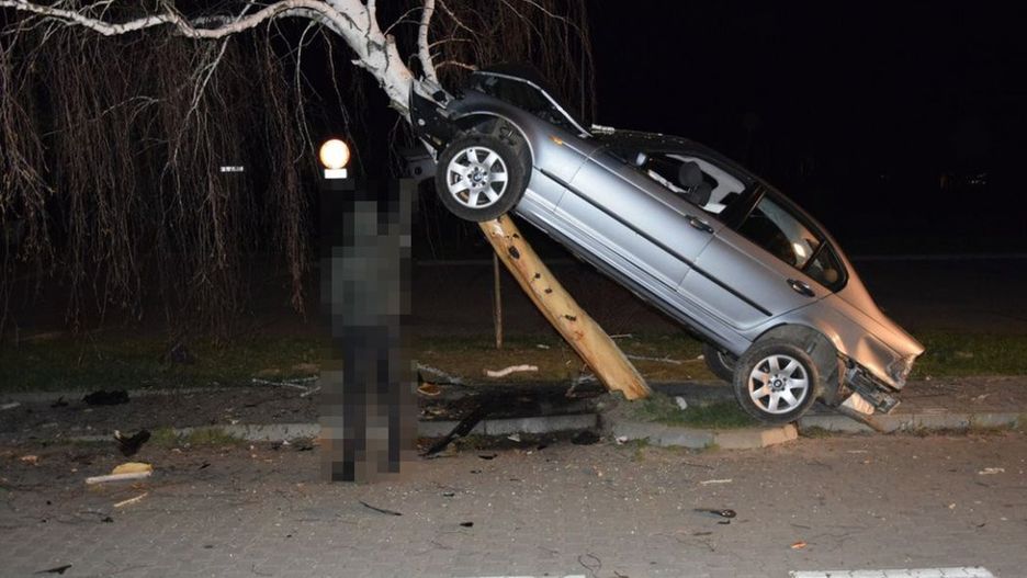 Kierowca i pasażerowie bmw mieli szczęście. Zderzenia z drzewem często mają tragiczny finał