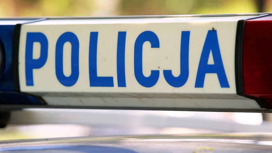 Policja czeka na sekcję zwłok psów
