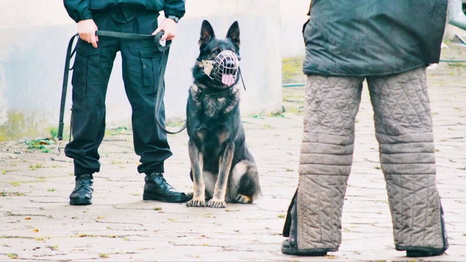 Mazowsze. Policjanci żegnają wieloletniego współpracownika