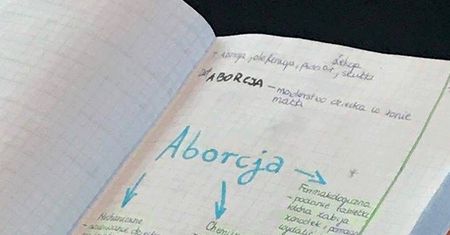 Nastolatka uczyła się, jadąc autobusem. Jej notatki mówią wiele o polskiej szkole