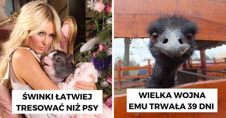 17 totalnie absurdalnych informacji, które które okazały się prawdziwe!