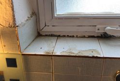 Koszmarne wakacje na Krecie. Polscy turyści walczą z brudem, insektami i żywiołem