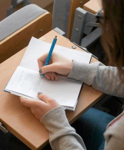 Strajk nauczycieli 2019. Korepetytor zabiera głos. "Nasz zawód został spłycony"