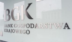 Państwowy bank ośmieszył patriotyczny program rządu. Wielka pomoc dla amerykańskiego biznesmena