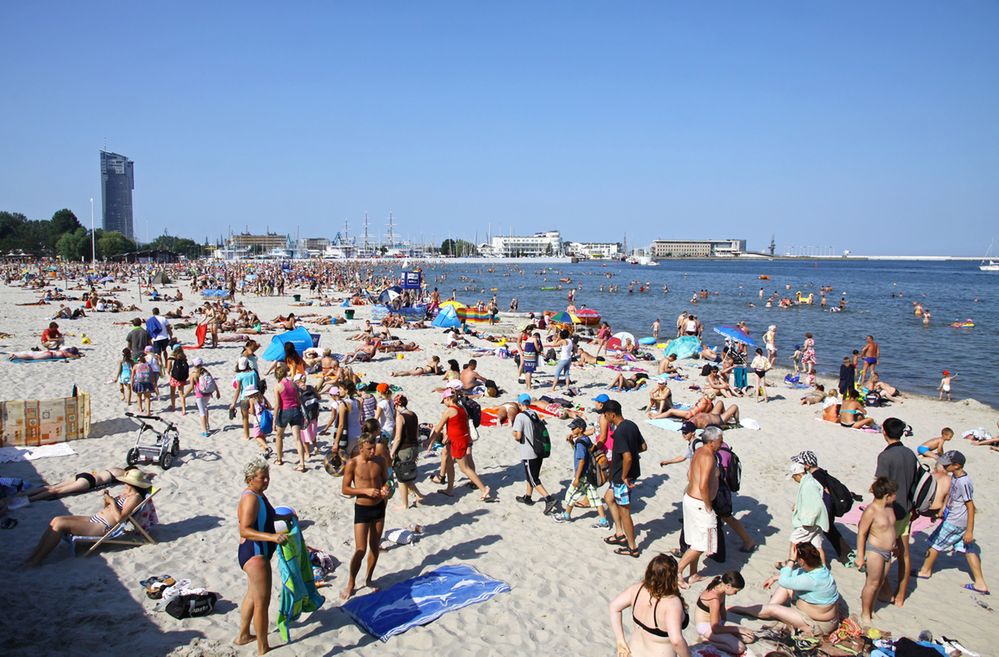 Grzyby, bakterie i pasożyty atakują także na plaży. Można się przed nimi chronić