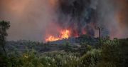 Grecja. Pożar na wyspie Zakynhtos. Ewakuowano turystów i mieszkańców. Trwa akcja gaśnicza