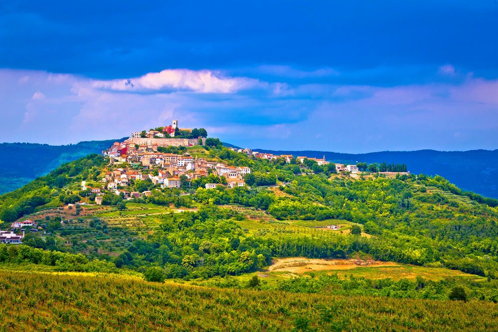 Obraz