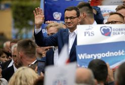 Świetlik: Po pierwsze bezpośredni kontakt, Głupcze (Opinia)