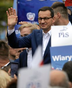 Świetlik: Po pierwsze bezpośredni kontakt, Głupcze (Opinia)