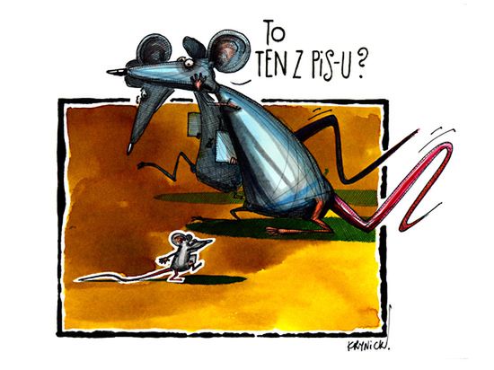 Obraz