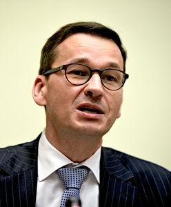 "Nie jest przesądzone, że Morawiecki zostanie premierem". Zaskakujące słowa Schetyny