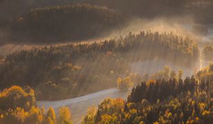 Piękna złota jesień. Niezwykłe zdjęcia z Polski