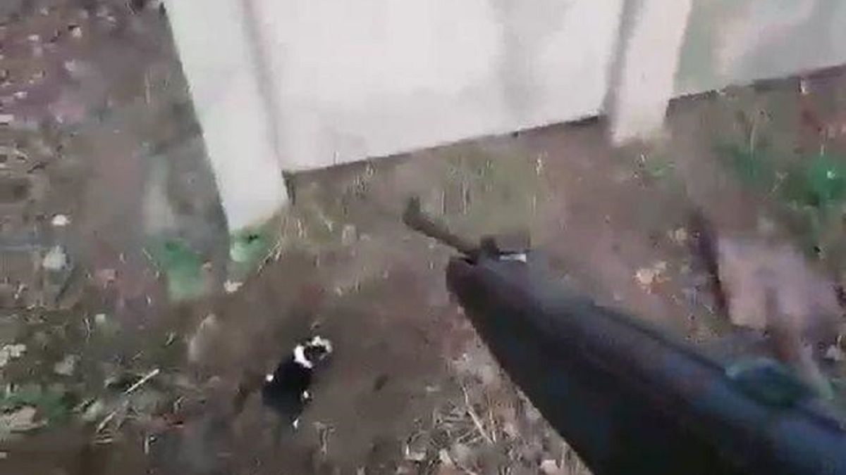 15-latek spod Mińska Mazowieckiego bestialsko zabił troje kilkudniowych szczeniąt.