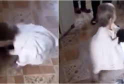 Dziecko znęca się nad królikami. Dorośli jeszcze w tym pomagają