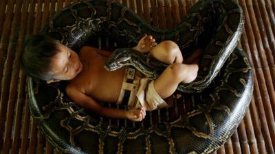 Pyton najlepszym przyjacielem?!