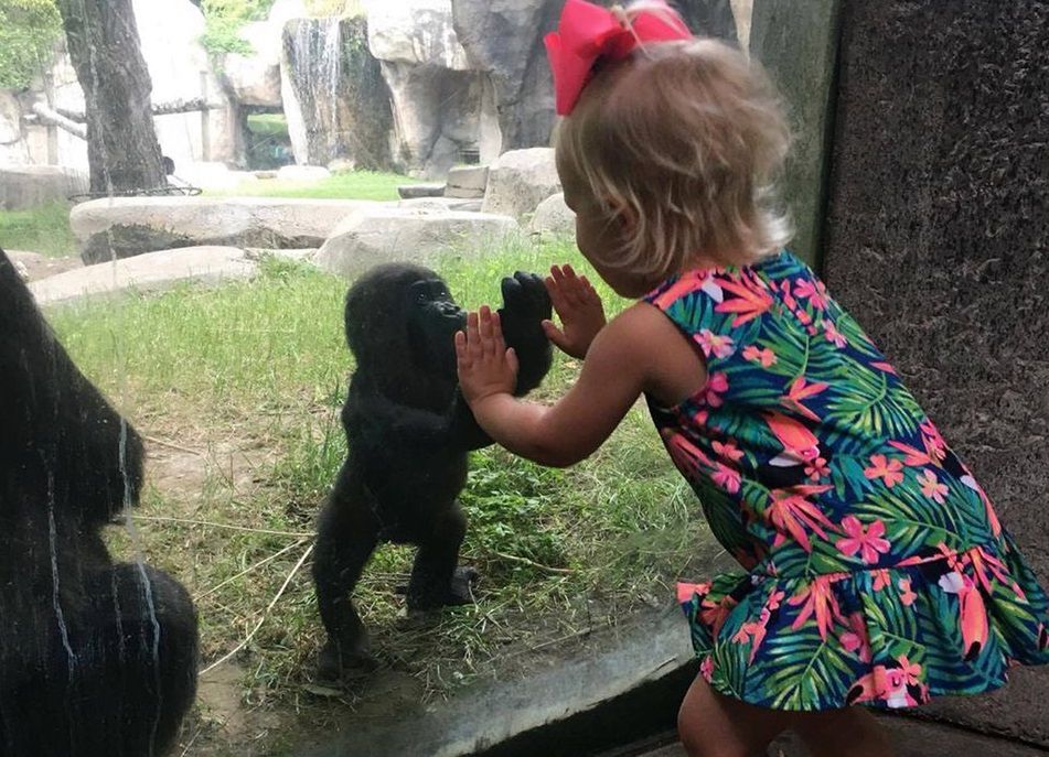 Szokujące słowa polityka. Kobiety powinny robić aborcję w ZOO