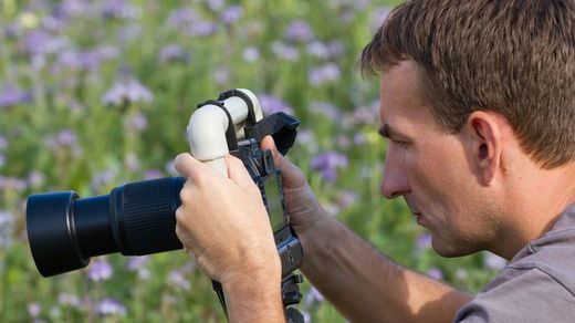 Do zdarzenia doszło podczas sesji ślubnej w Ontario