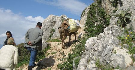 Antakya (Hatay). Turcja. Co warto zobaczyć