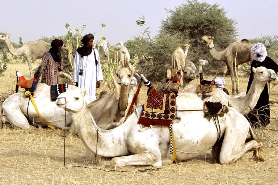 Wodaabe - jeden z ostatnich koczowniczych ludów afrykańskich