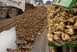 Protest plantatorów i pracowników cukrowni w Malborku