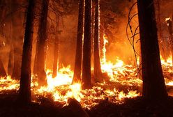 Pożar na wyspie Hvar. Chorwaci zmagają się z kolejnym żywiołem