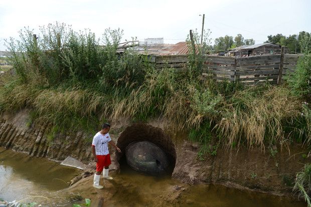Zagadkę rozwiązali dopiero naukowcy, którzy przybyli na miejsce