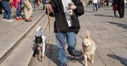 Hangzhou wypowiedziało psom wojnę. Wprowadzono szokujące przepisy